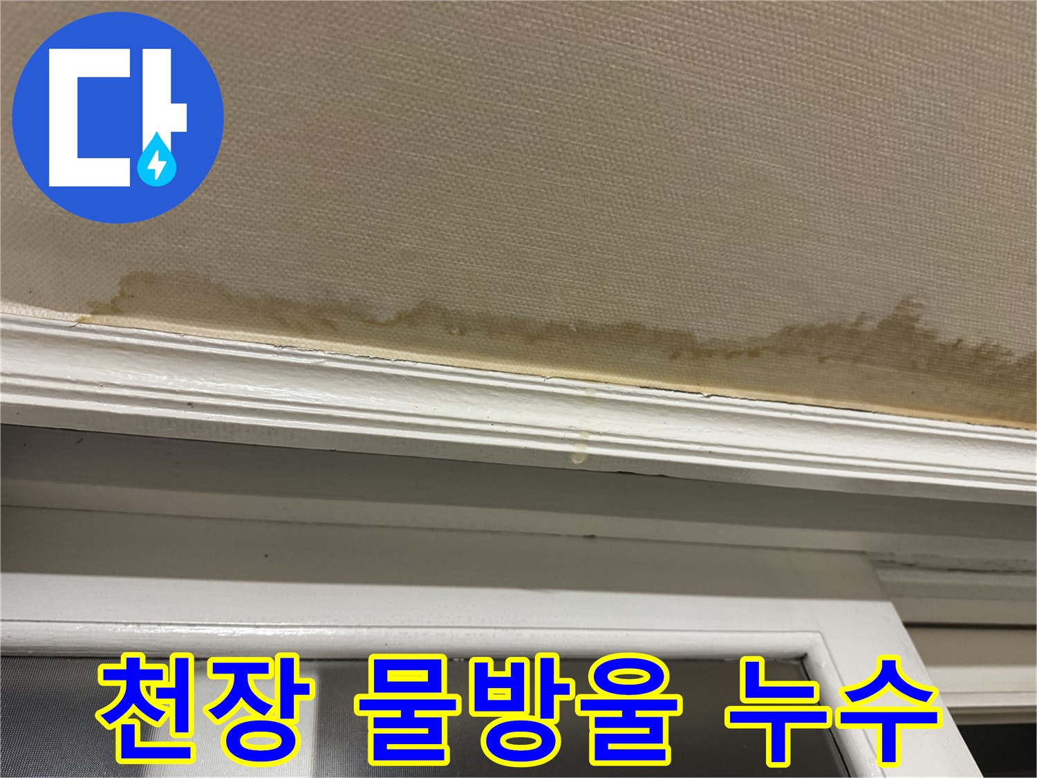 천장에 맺힌 물방울 - 누수의 초기 증상임을 알려줍니다.
