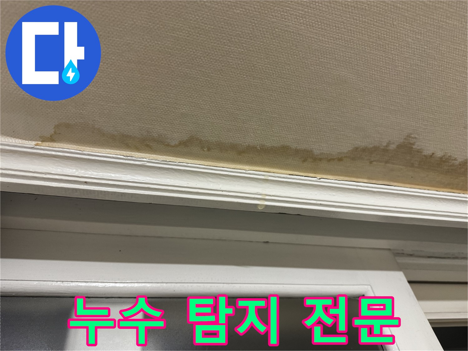 최첨단 장비를 이용한 누수 탐지 - 정확한 누수 지점 탐지를 약속하며 - 전문성을 강조합니다.