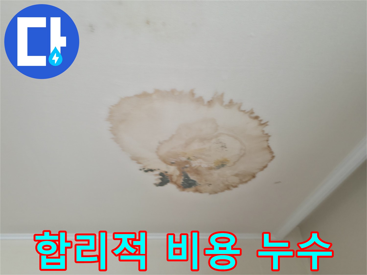 합리적인 비용 - 천장 누수 해결 - 서대문구 누수
