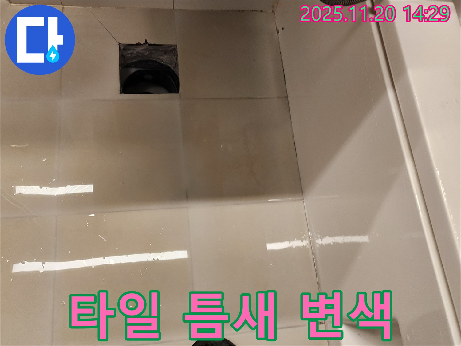 가산면 마산리 욕실 배수구 누수 - 타일 틈새 오염 및 변색으로 인한 누수 위험 진단