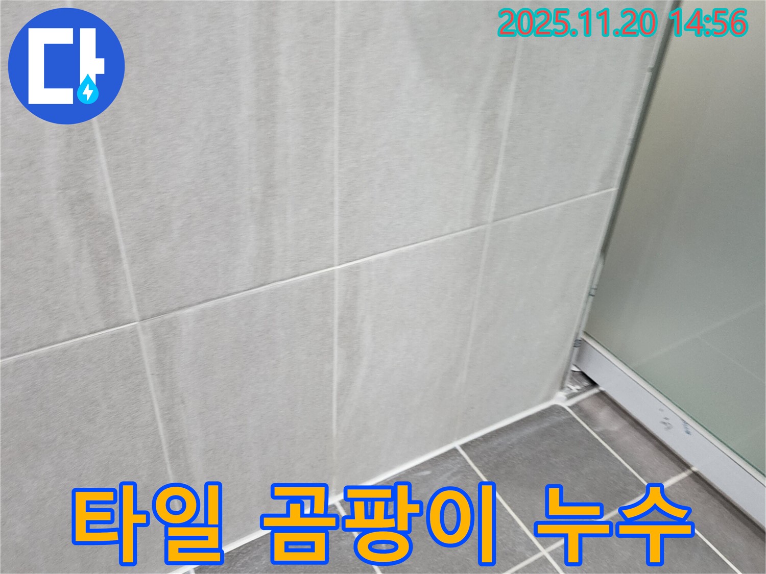 마산리 욕실 벽 타일 곰팡이 - 틈새 실리콘 보수 및 곰팡이 제거