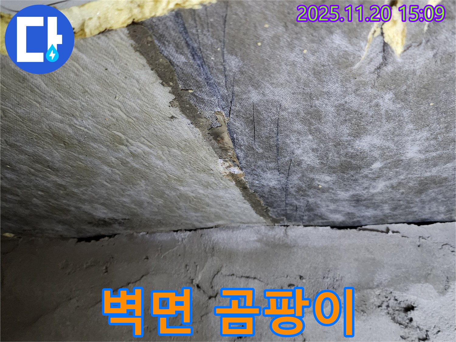 벽면 곰팡이 - 누수로 인해 벽면에 곰팡이가 발생한 모습입니다.