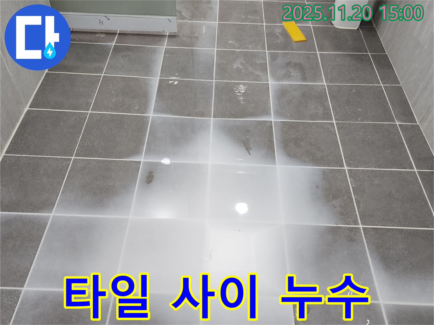 세탁실 타일 사이에 물이 스며든 모습 - 누수 초기 증상일 수 있습니다.
