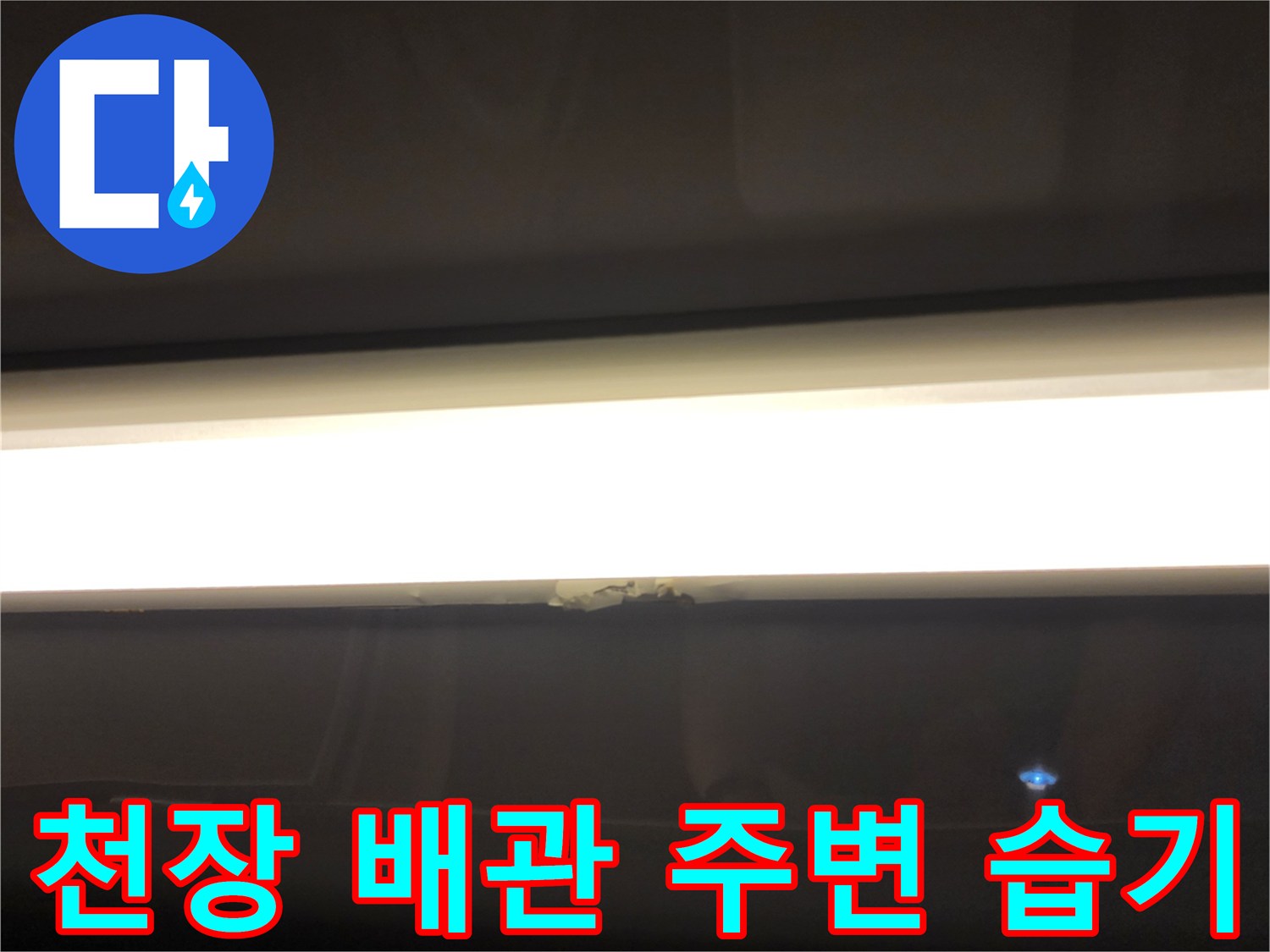 욕실 천장 조명 근처-배관 연결 부위의 습기 상태