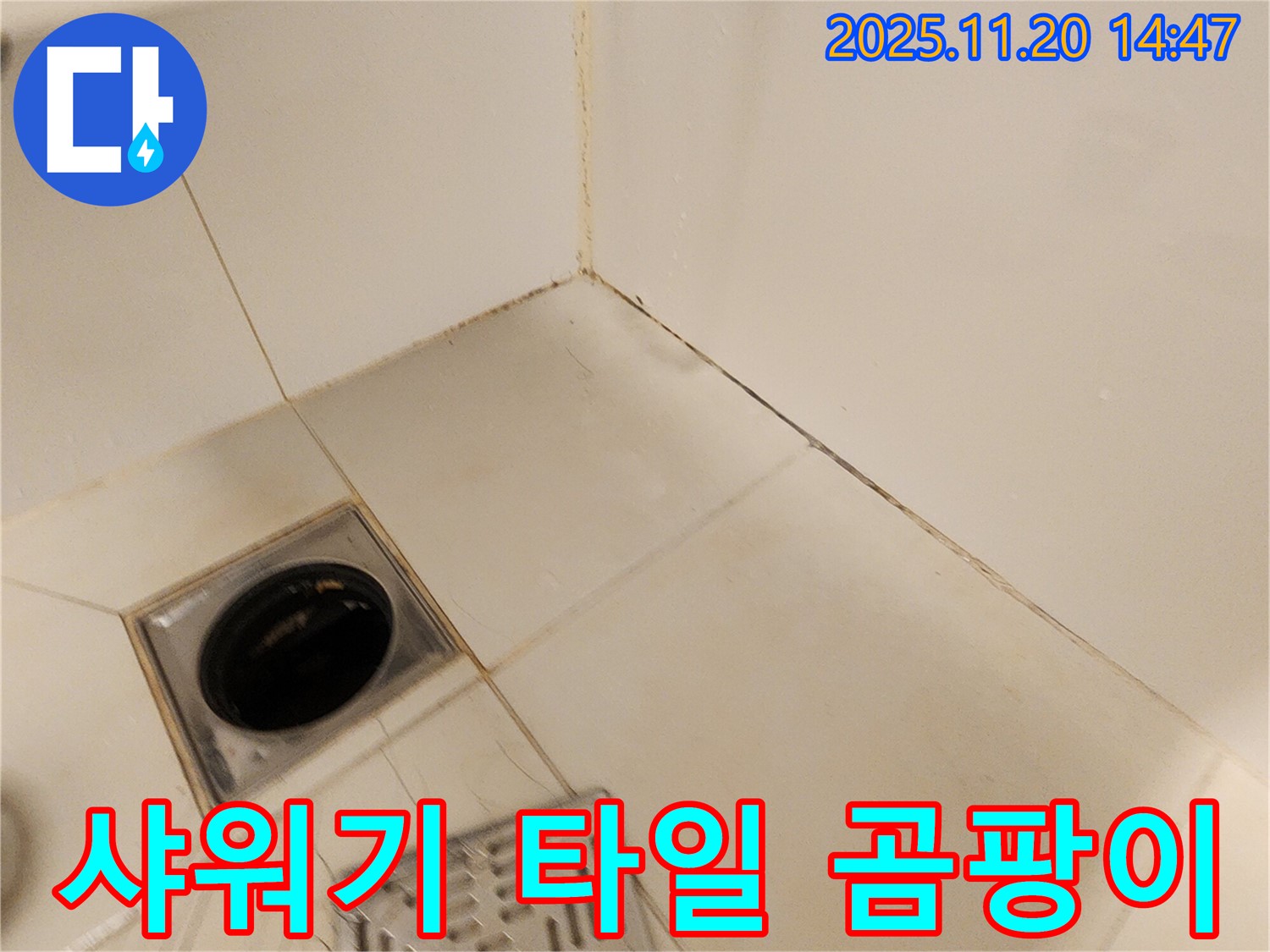 포천 가산 샤워기 - 샤워기 연결 부위에서 누수가 발생하고 주변 타일에 곰팡이가 핀 모습입니다.