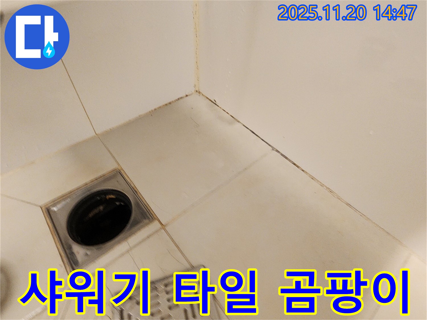 포천 가산 샤워기 - 샤워기 연결 부위에서 누수가 발생하고 주변 타일에 곰팡이가 핀 모습입니다.
