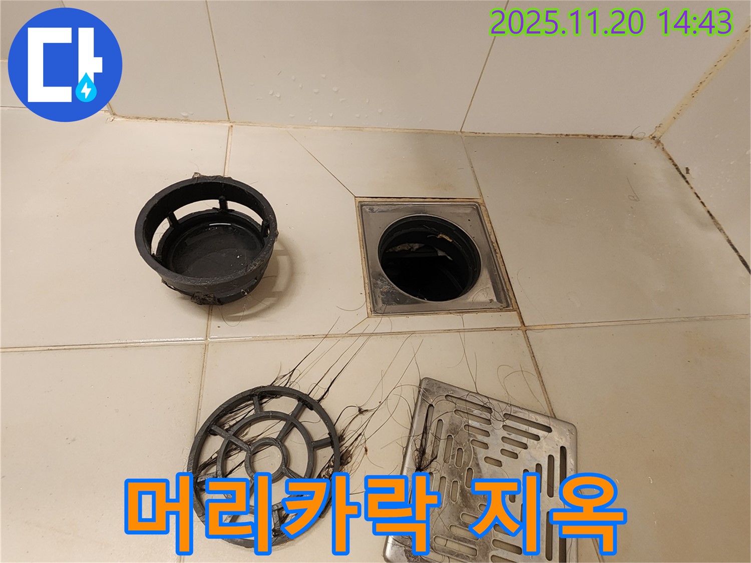 포천 가산 - 욕실 배수구, 머리카락 지옥에서 탈출 성공