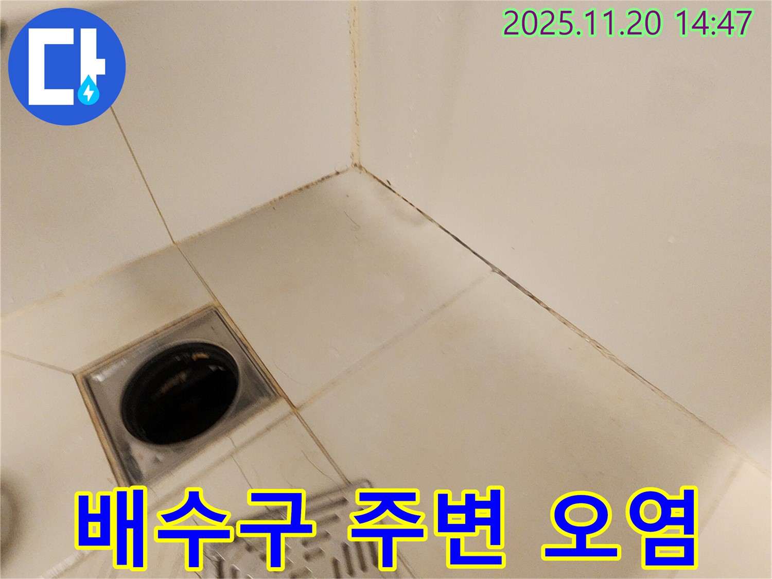 포천 가산 욕실 배수구 주변 오염 - 욕실 배수구 주변 타일이 오염된 모습입니다.