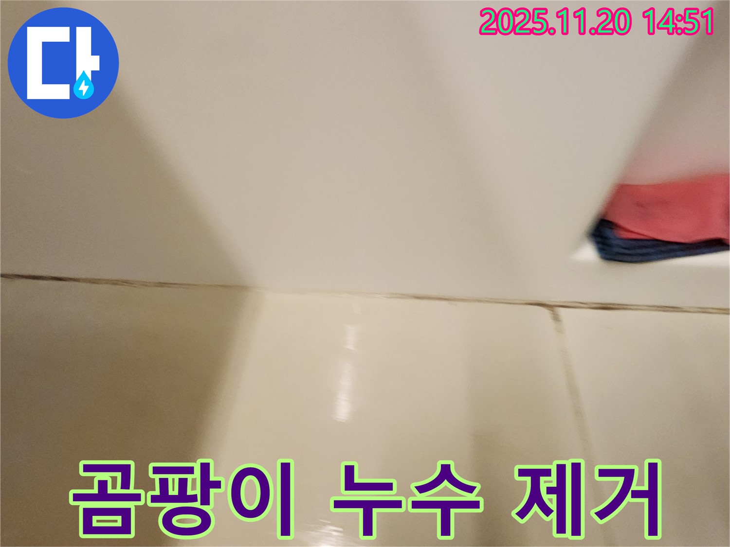 포천 가산면 곰팡이 핀 타일 틈새 누수 - 곰팡이 제거 후 완벽한 방수 시공으로 재발 방지!