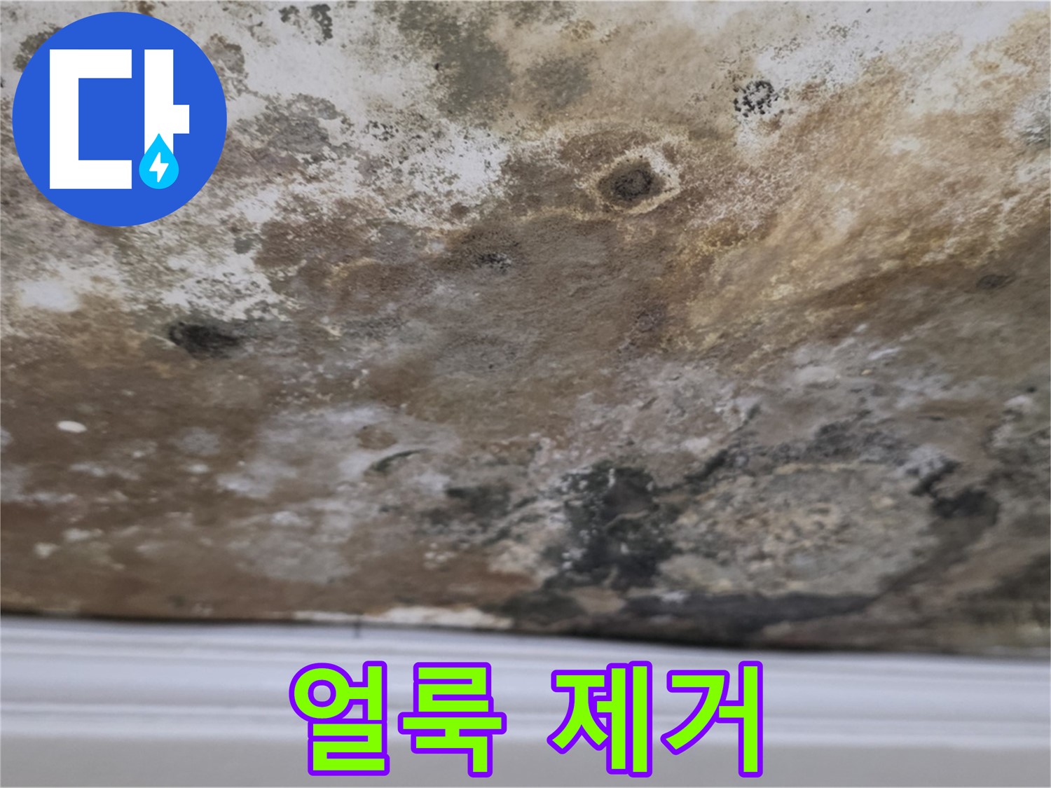 곰팡이 얼룩 제거 후 깨끗해진 천장 - 누수 해결과 곰팡이 얼룩 제거 후 깨끗하게 복원된 천장의 모습입니다.