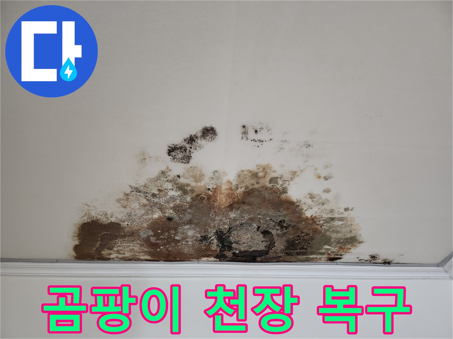 마포구 누수 해결 - 곰팡이 천장 완벽 복구 및 쾌적한 환경 조성