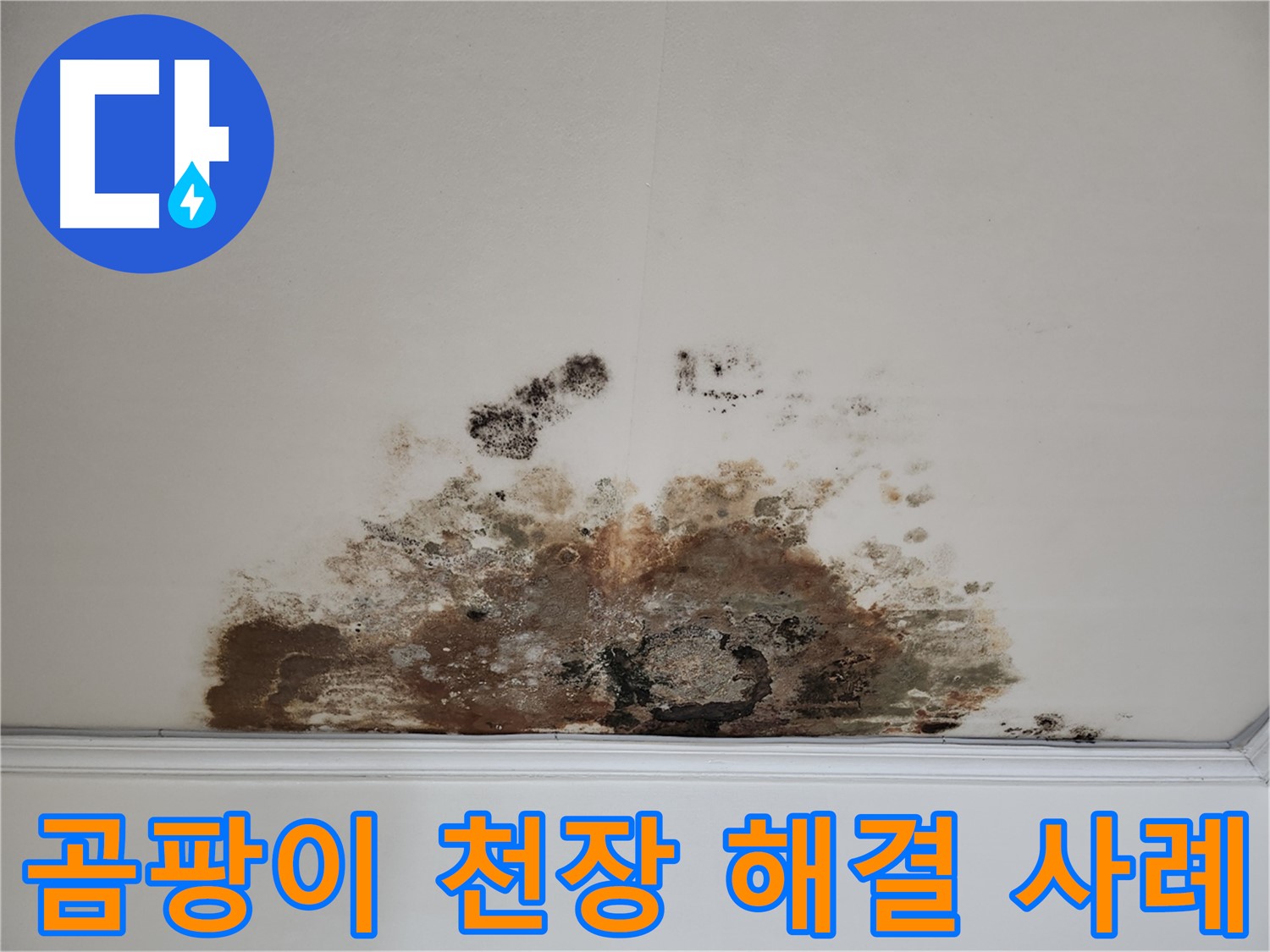 마포구 아파트 누수 - 곰팡이 핀 천장의 확실한 해결 성공 스토리