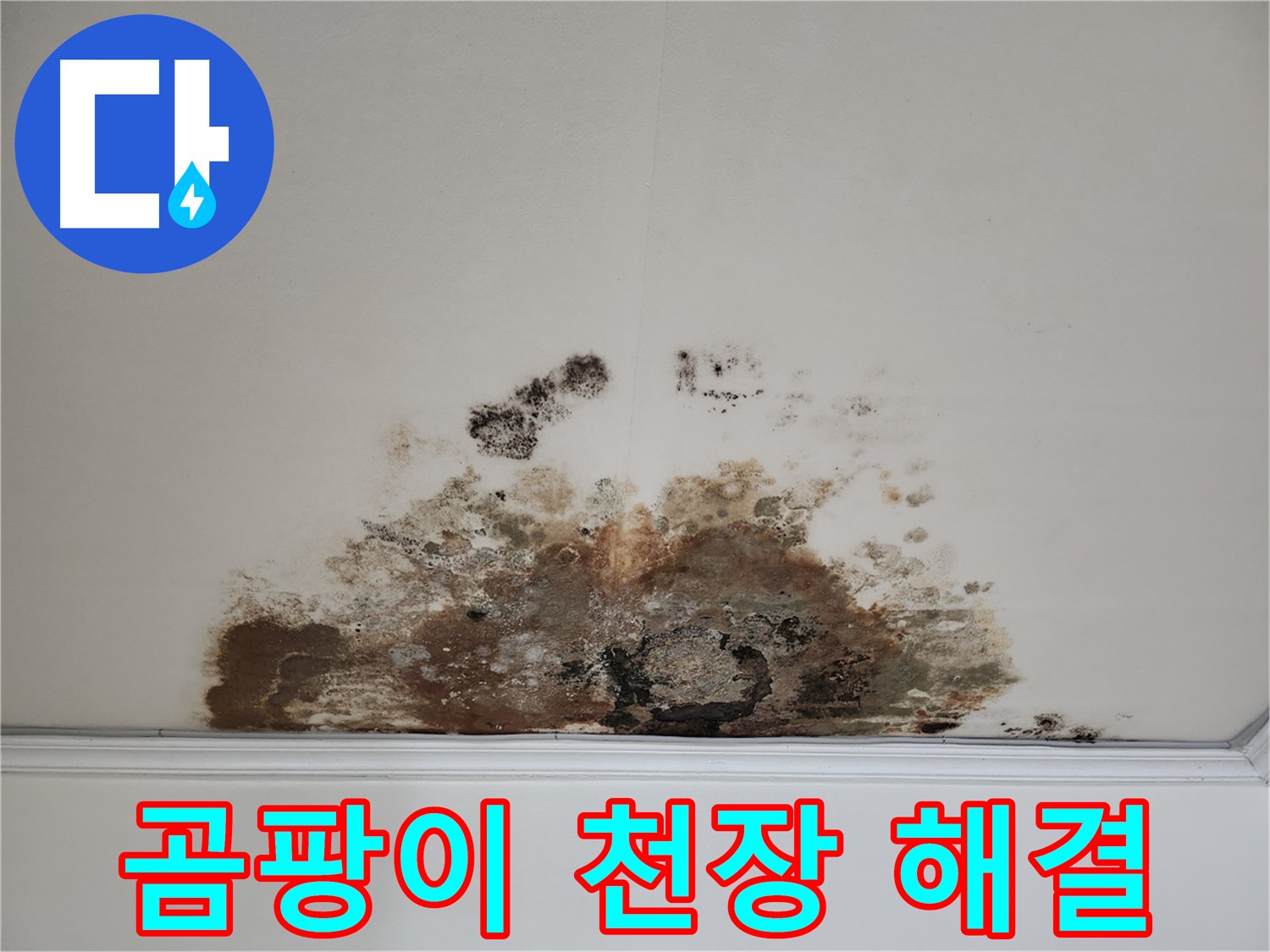 마포구 용강동 곰팡이 천장 누수 - 완벽 해결 24시간 대기