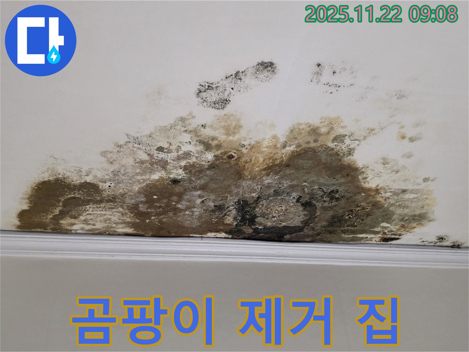 마포구 용강동 누수 - 천장 곰팡이 완벽 제거, 쾌적하고 건강한 집으로 변신!