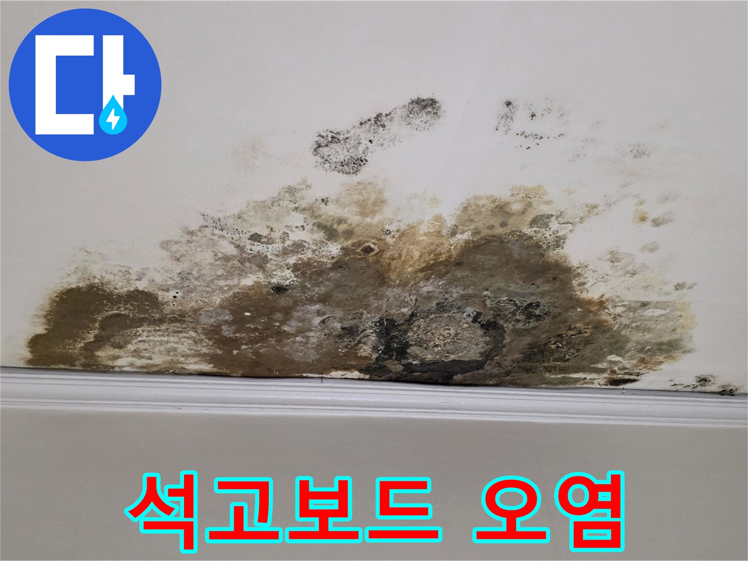 마포구 용강동 현대홈타운 아파트 - 곰팡이 - 천장 석고보드까지 오염
