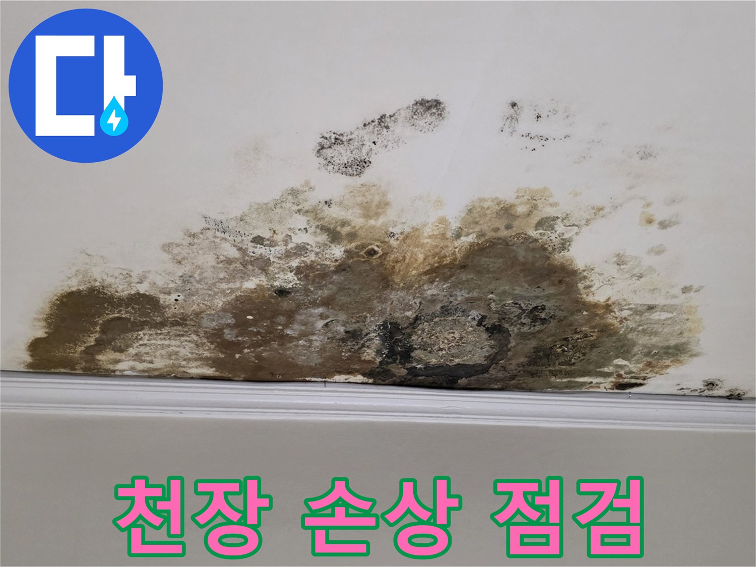 마포구 용강동 현대홈타운 아파트 - 곰팡이로 인한 천장 손상 긴급 점검