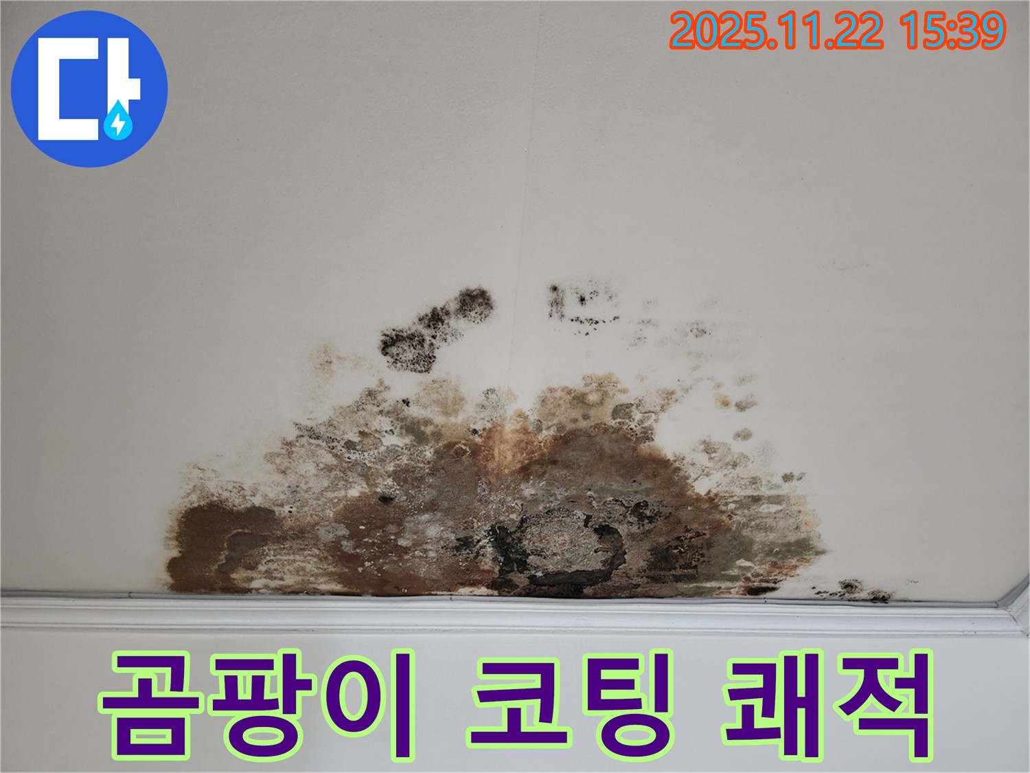 새창로 현대홈타운 아파트 - 곰팡이 천장, 재발 방지 코팅으로 오래도록 쾌적하게