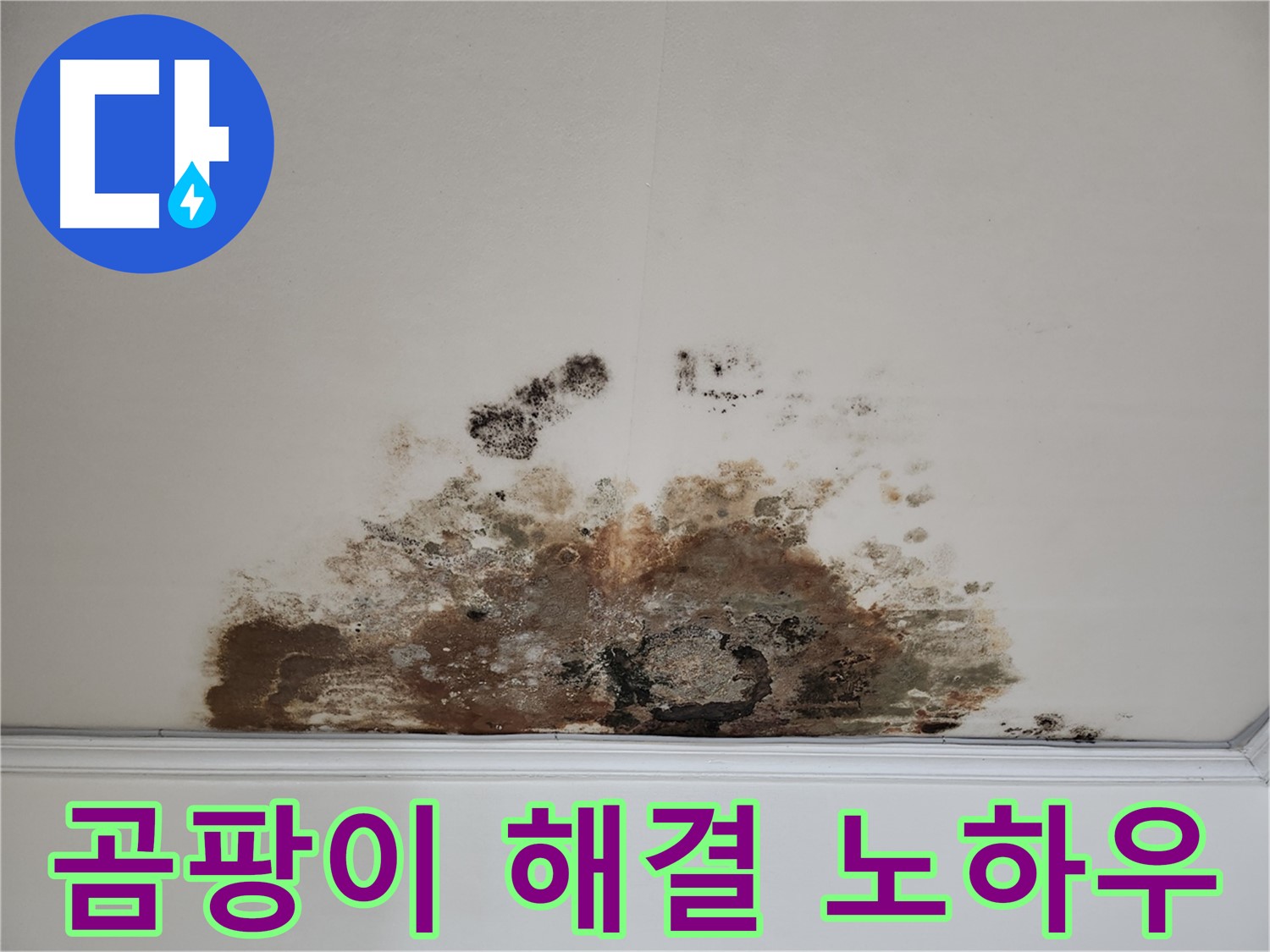 용강동 아파트 천장 누수 - 곰팡이, 완벽 해결 노하우 공개