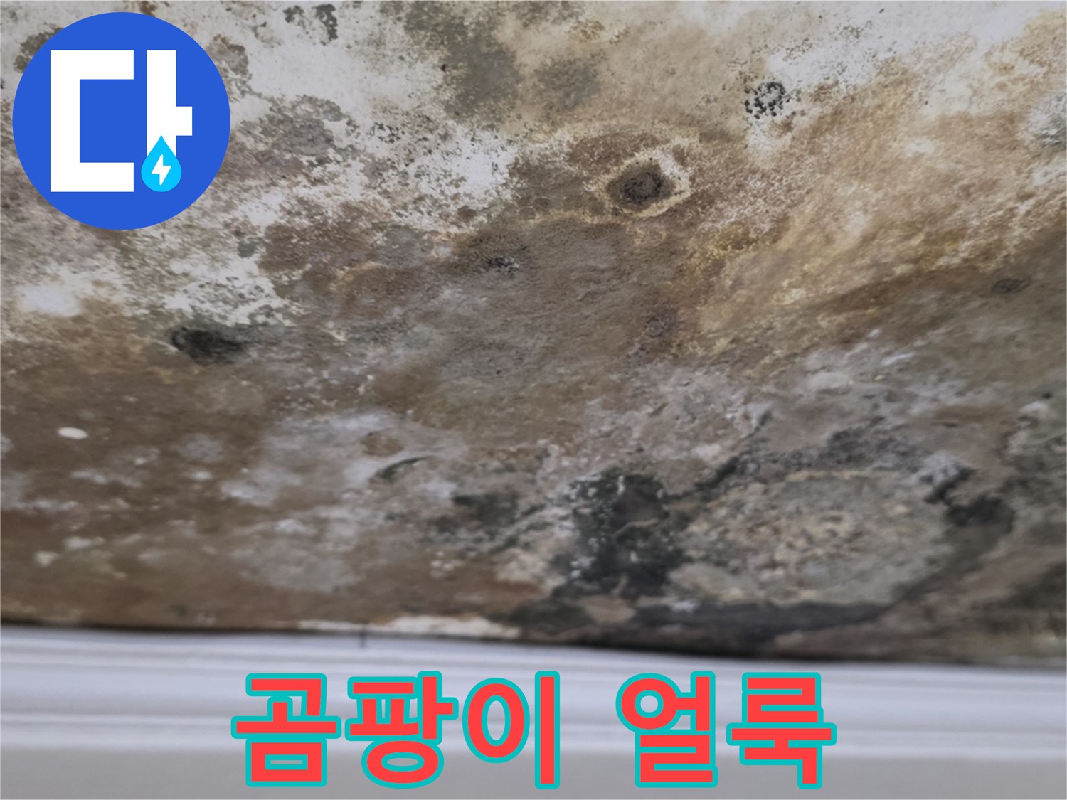 천장에 곰팡이가 얼룩덜룩하게 핀 모습 - 누수로 인해 천장에 곰팡이가 얼룩덜룩하게 번진 상태를 보여줍니다.