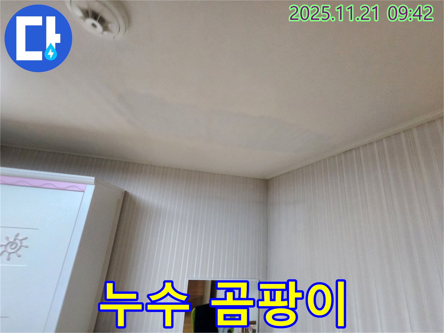 양천구 목동 성보주상복합 천장 누수로 인한 곰팡이 발생-누수 해결과 곰팡이 방지까지 완벽 케어