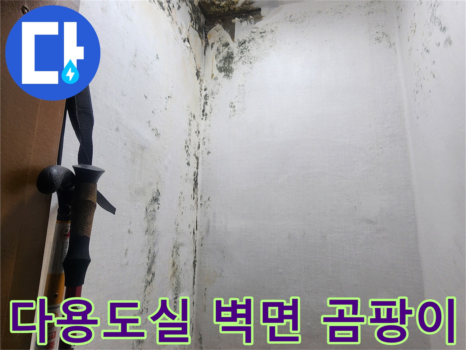 의정부 신곡동-다용도실-벽면-곰팡이-및-부식-상태