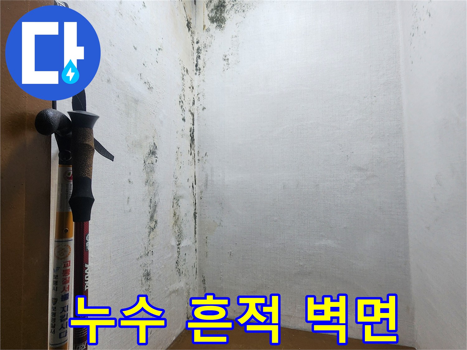 의정부-신곡동-현장-벽체-습기-및-곰팡이-상태