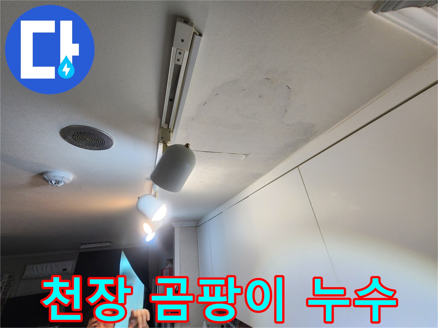 공릉2단지 아파트 천장 누수 - 곰팡이로 인한 누수 피해 확인 - 꼼꼼한 점검