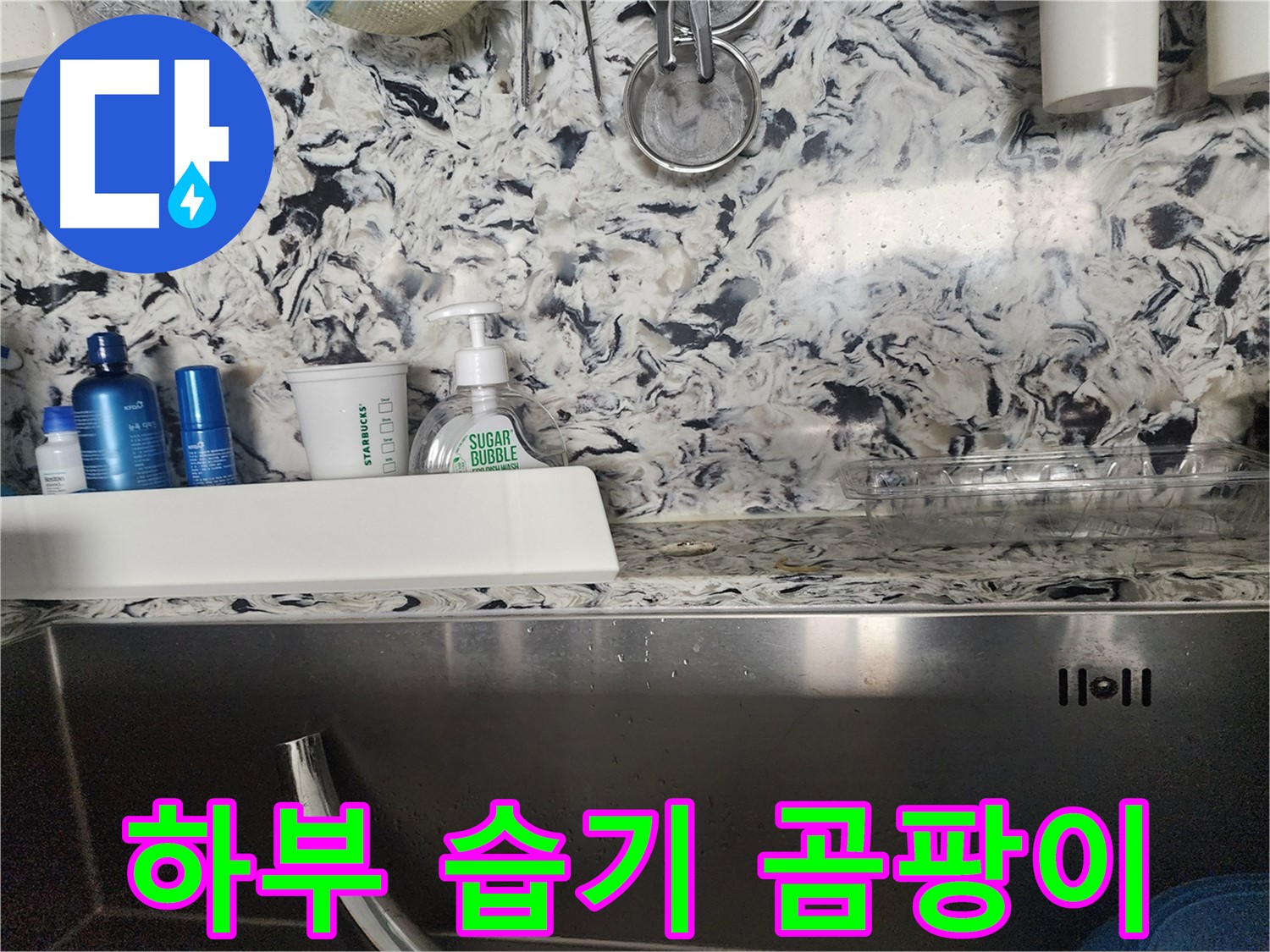 싱크대 하부 습기 및 곰팡이 - 분당구 대장동 주택에서 발생한 문제 해결