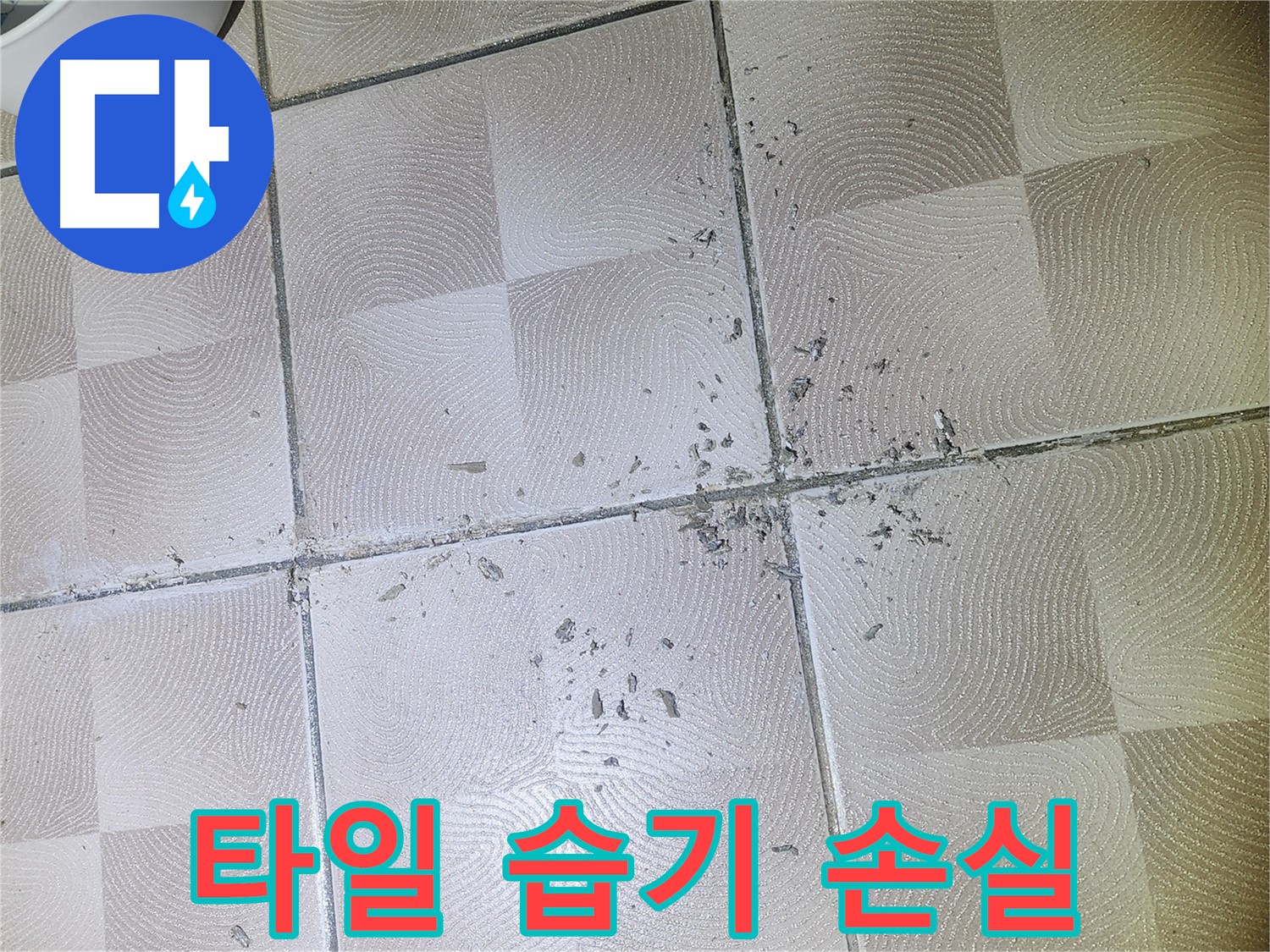 센트럴타운로 76 누수 - 욕실 바닥 타일 틈새 백시멘트 손실 및 습기 발생 상태