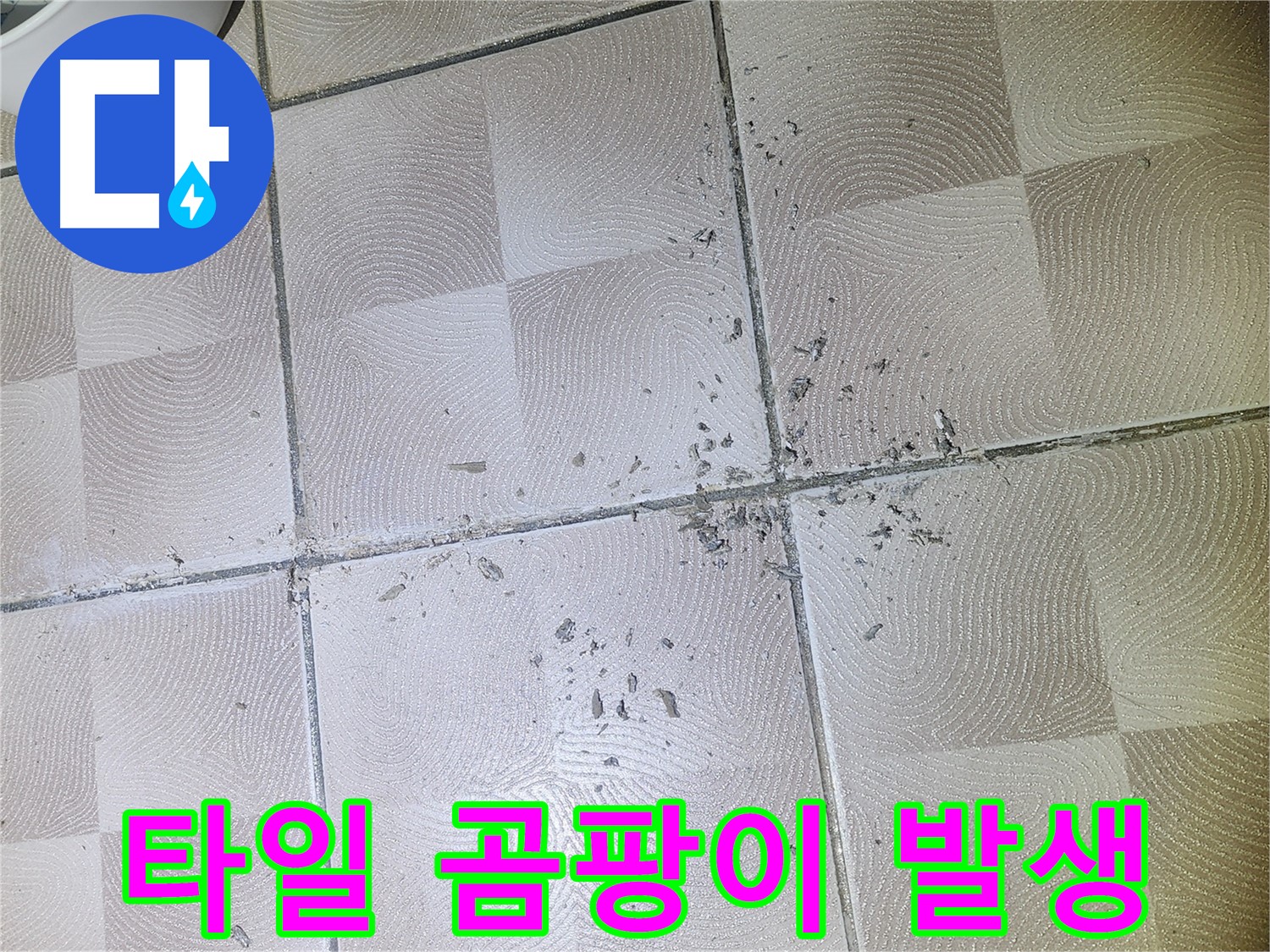 수원 영통 누수 - 깨진 타일 주변 백시멘트 가루 및 곰팡이 발생 상태 확인