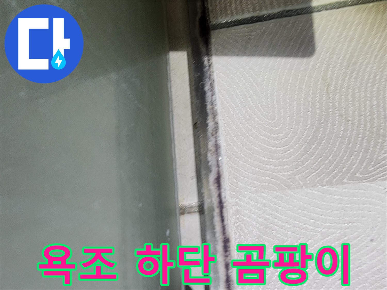 수원시 영통구 누수 - 욕조 하단 곰팡이와 실리콘 손상 확인