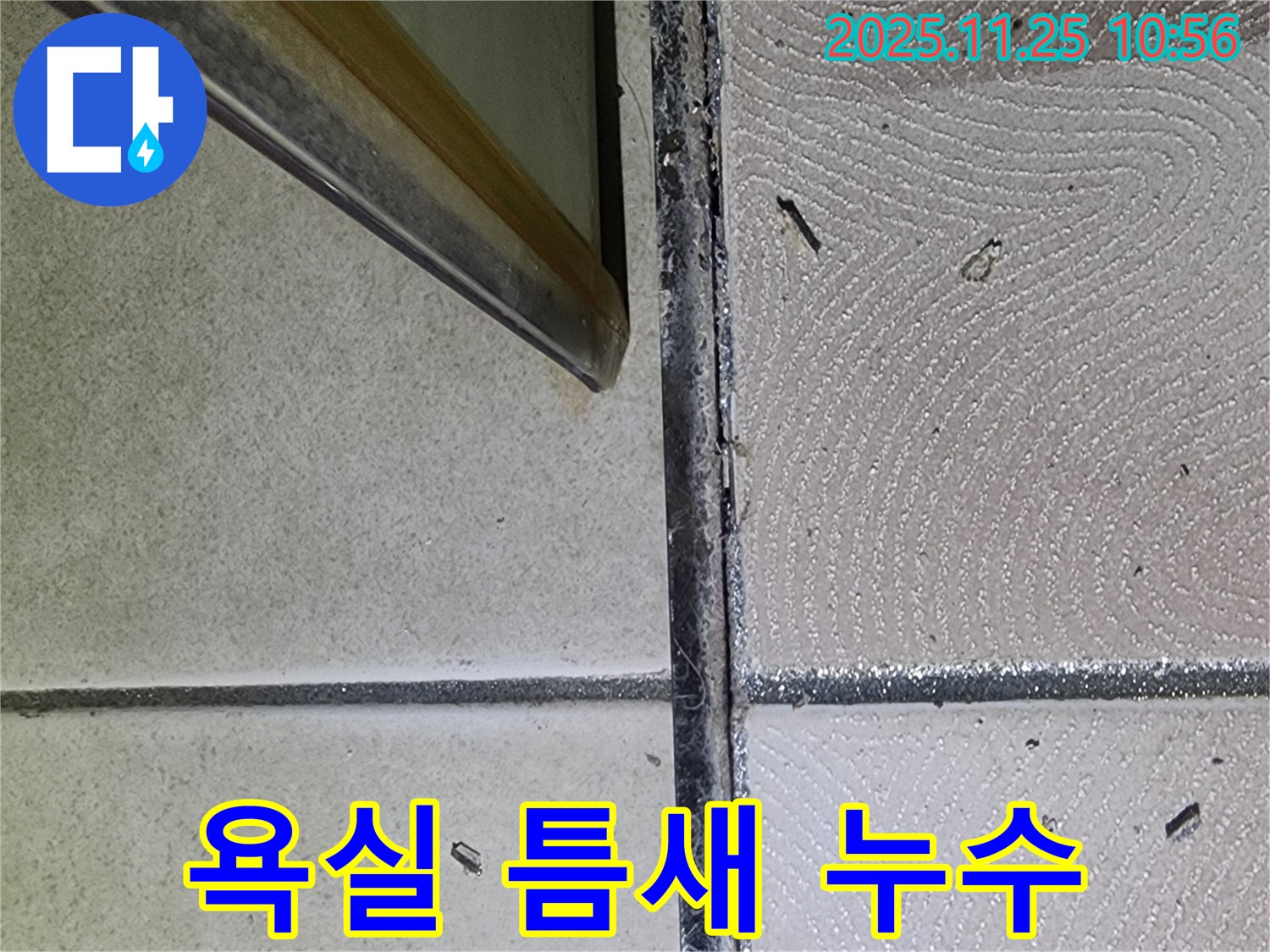 욕실 틈새 누수 - 타일 사이 미세한 균열 - 누수 초기 증상