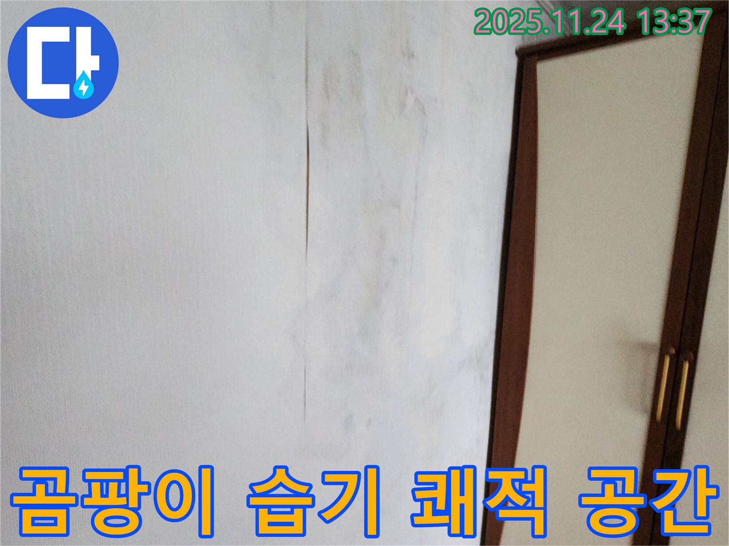 곰팡이 - 습기 - 쾌적한 공간으로 변신