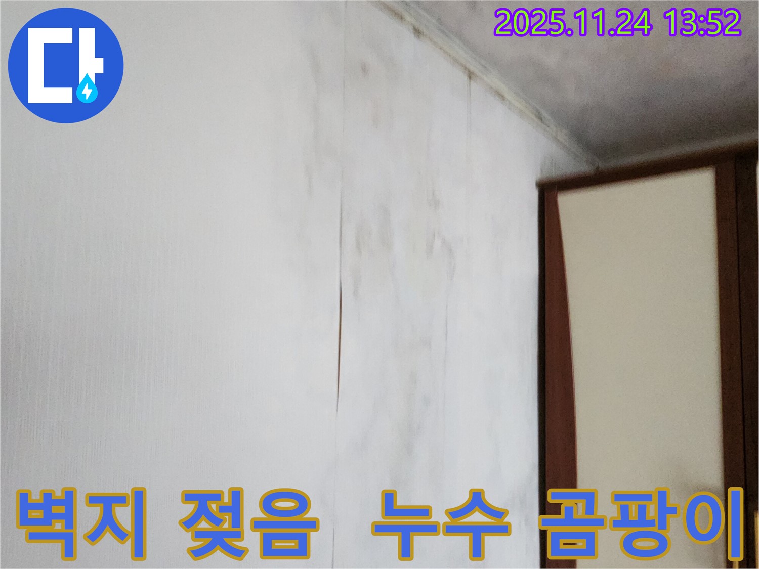 벽지 젖음과 곰팡이 발생 - 포천시 마전리 누수 현장, 전문 업체가 정확한 진단과 해결책을 제시