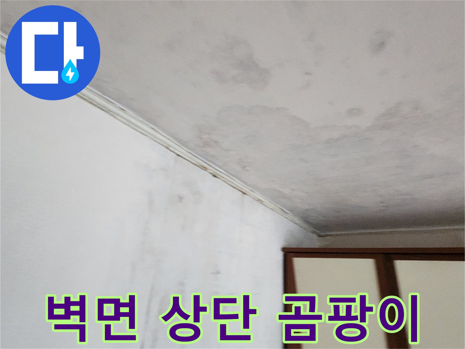 천장-가장자리의-곰팡이와-습기-흔적