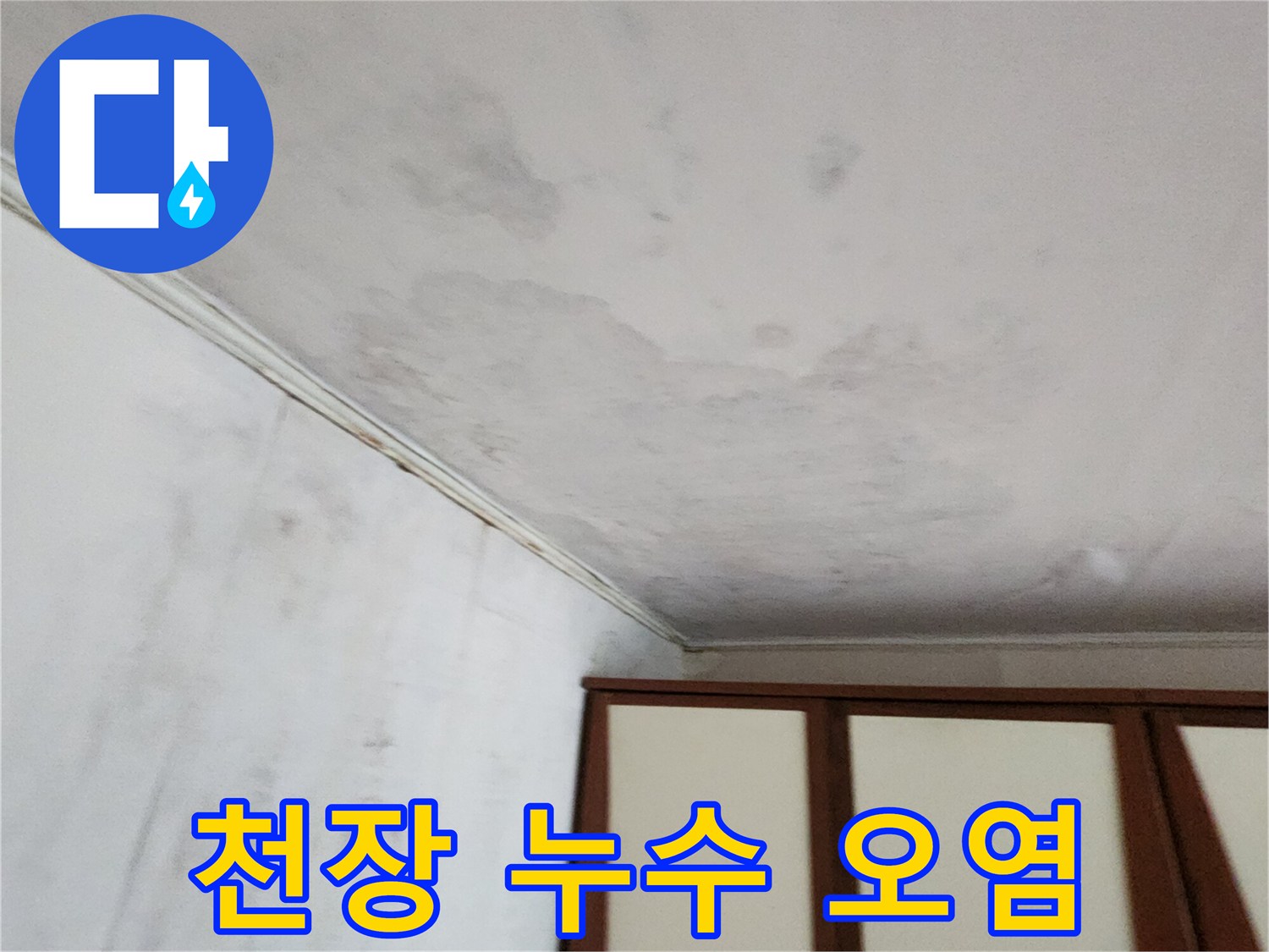 천장-상단에-발생한-심각한-곰팡이-흔적