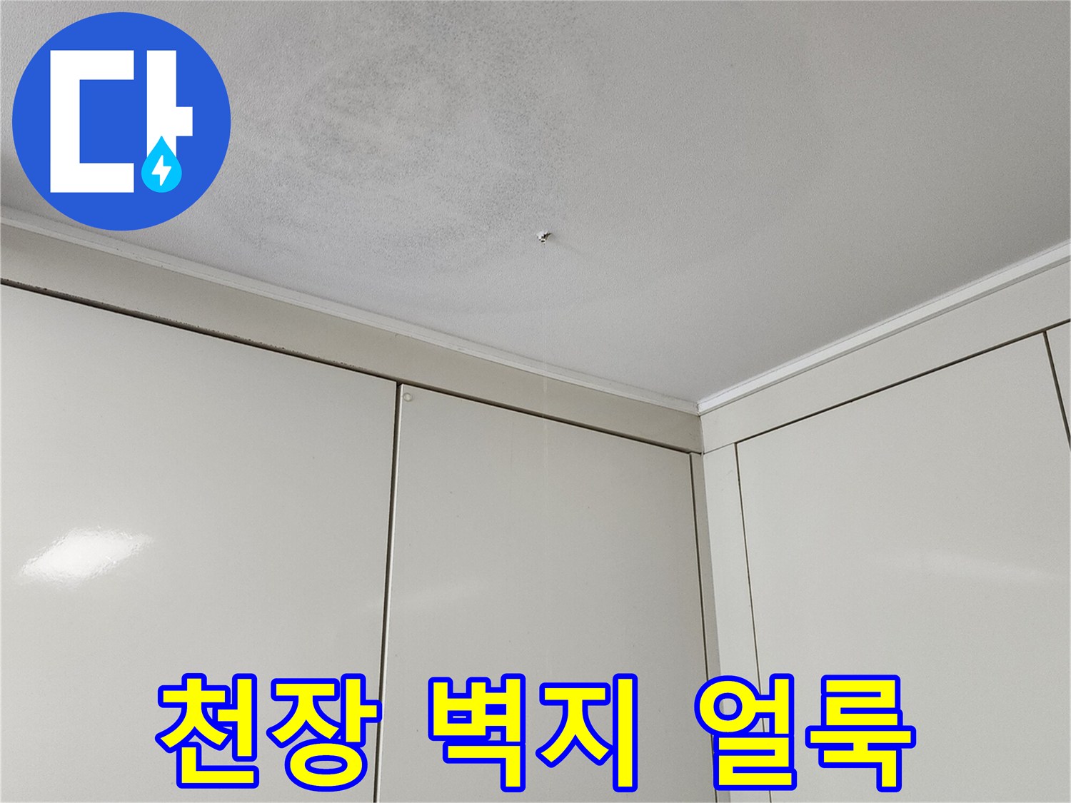 포천 가산면 현장의 천장 벽지 곰팡이 및 변색 상태