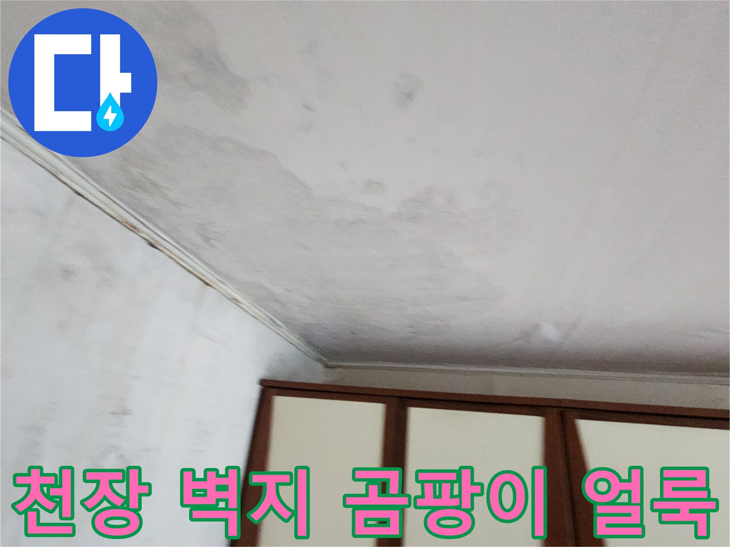 포천 가산면 현장의-천장 벽지 곰팡이와 물자국 현황