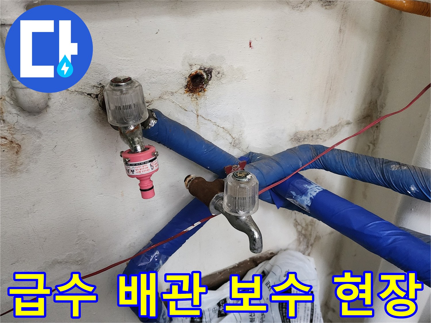 새로 교체한 수도 밸브와 파란색 보온재가 적용된 배관 모습