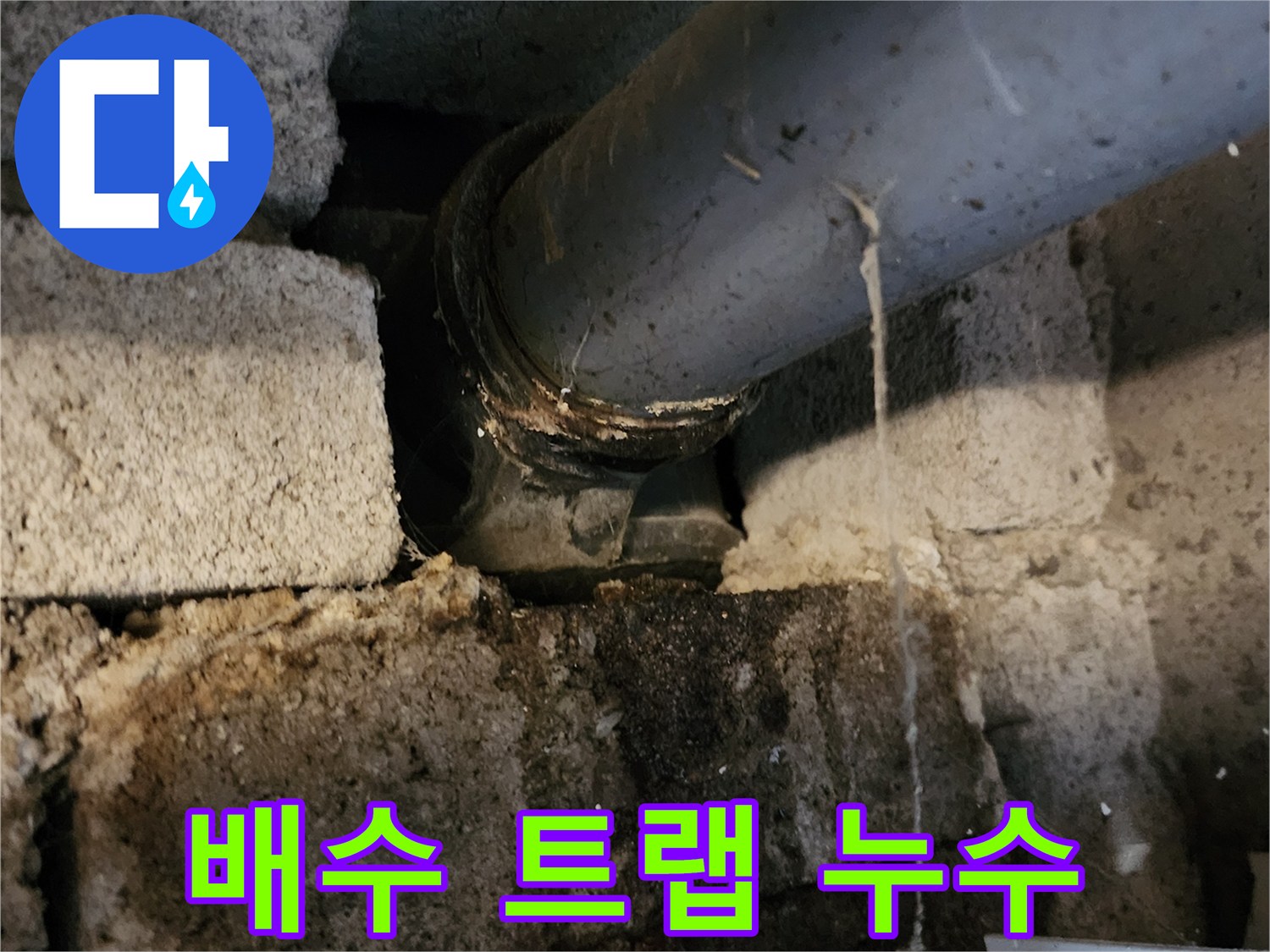 포천 고일리 현장 - 배수 트랩 주변의 습기 및 물샘