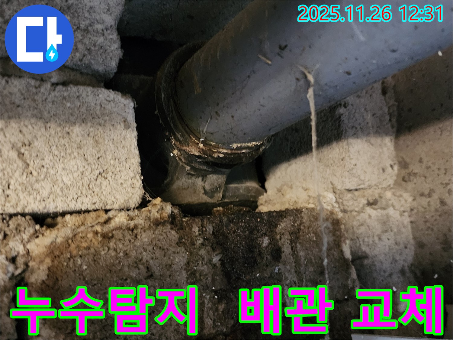 포천 신북면 고일리 누수 현장 - 신속한 누수탐지와 정확한 배관 교체로 문제 해결!