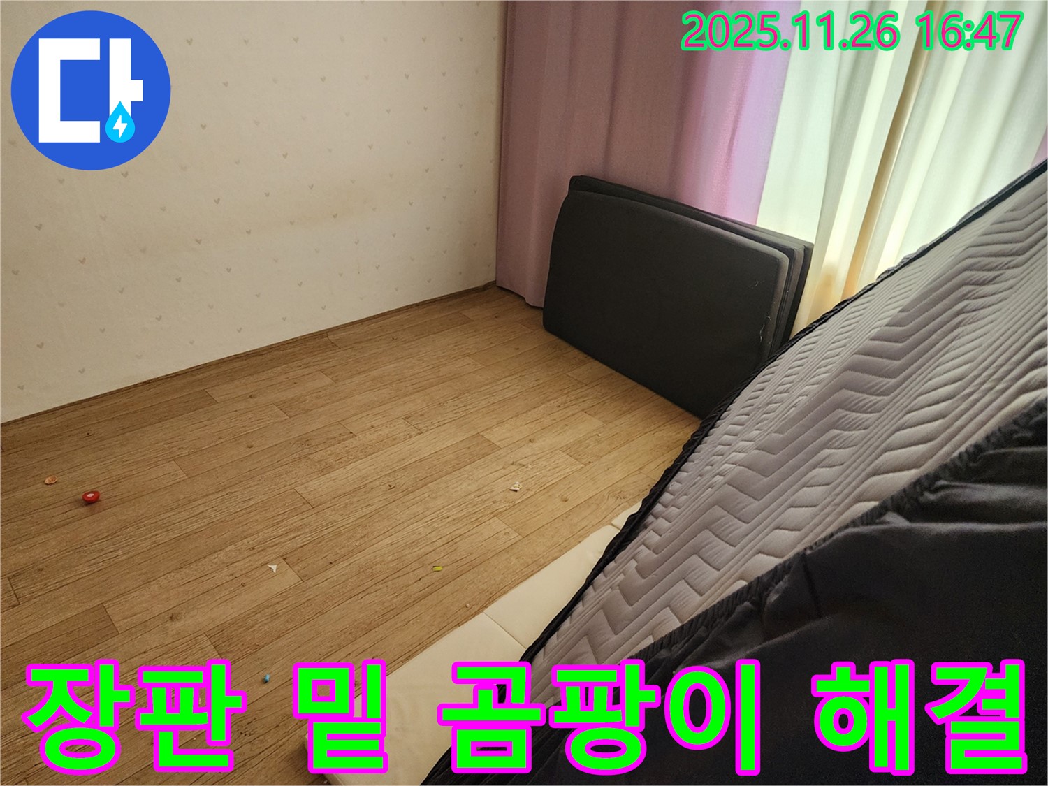 포천 신북면 삼성당리 누수 - 장판 밑 곰팡이, 확실한 해결책 제시 완료!