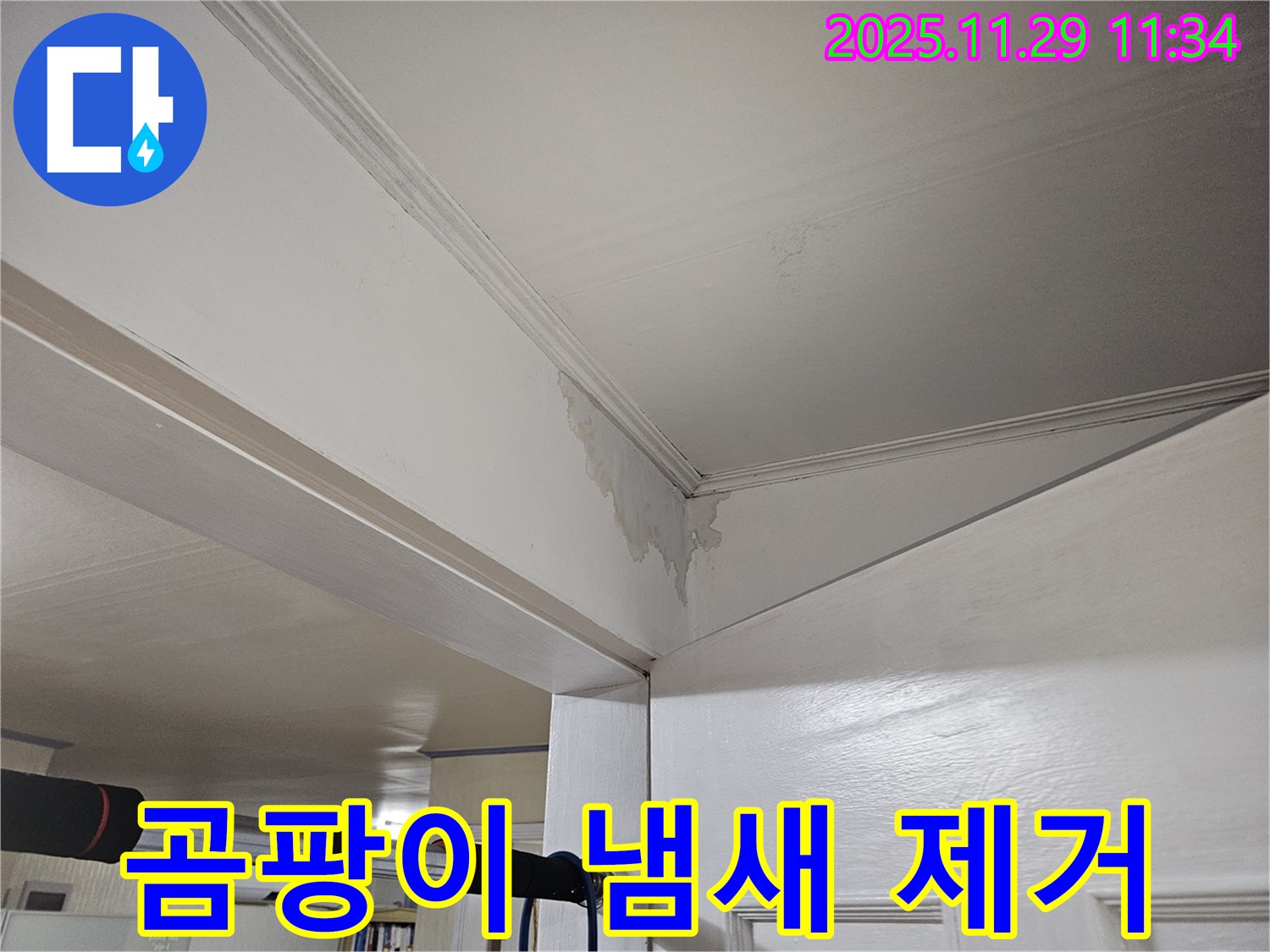 광탄 천장 누수 - 곰팡이 냄새 진동, 완벽 제거 & 상쾌한 공기로 쾌적하게!