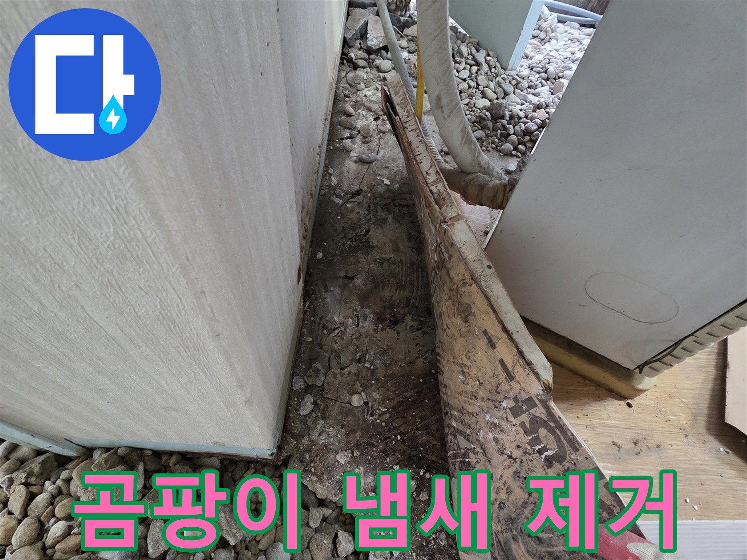 곰팡이 냄새 제거 - 오래된 주택, 곰팡이 냄새의 원인은 누수!