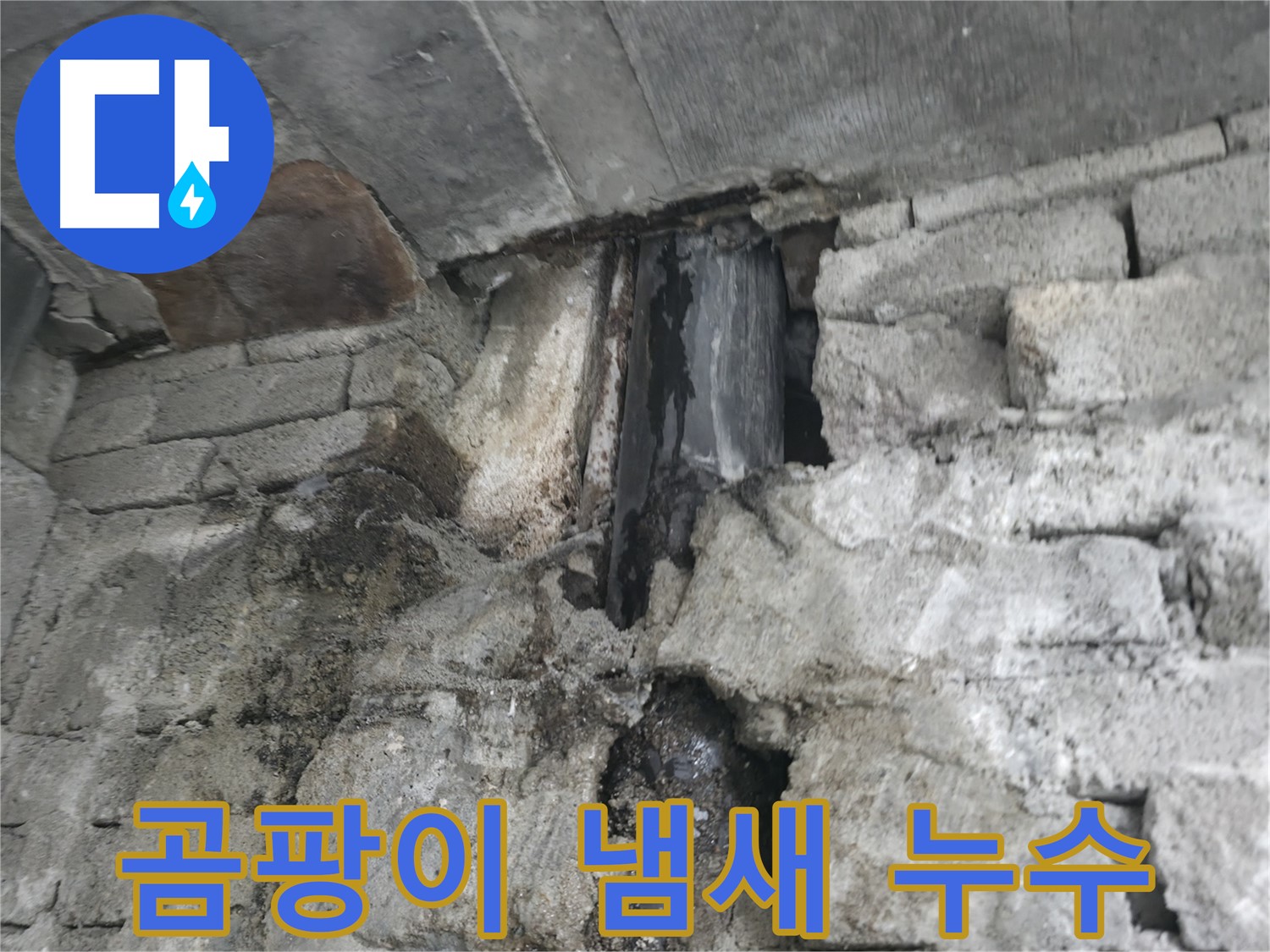곰팡이 냄새로 인한 누수 - 퀴퀴한 냄새가 진동합니다 - 곰팡이 제거와 냄새 제거가 시급합니다.