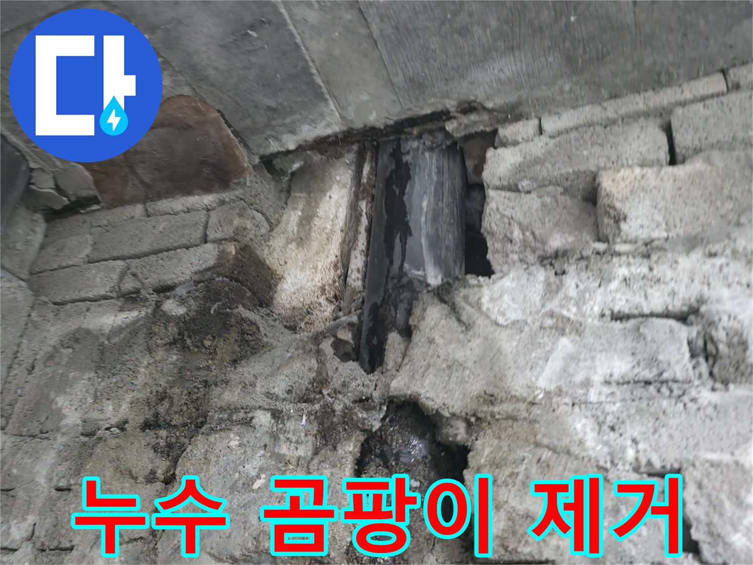 외벽 누수 곰팡이 냄새 - 외벽 누수로 인해 곰팡이 냄새가 심하게 나고, 아토피를 악화시킬 수 있습니다.
