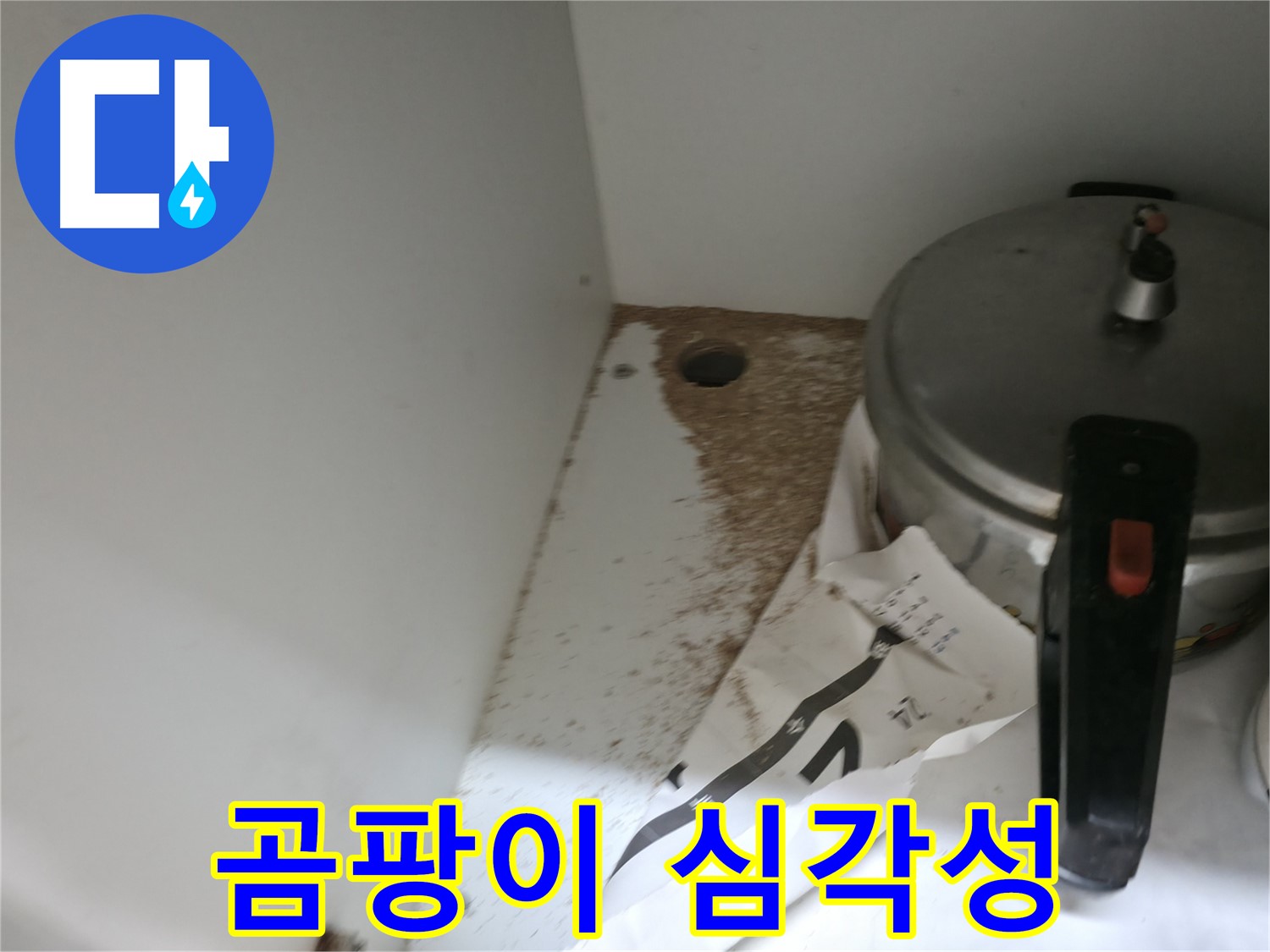 명달로4길 싱크대 누수 - 곰팡이 심각성 및 숨겨진 누수 점검