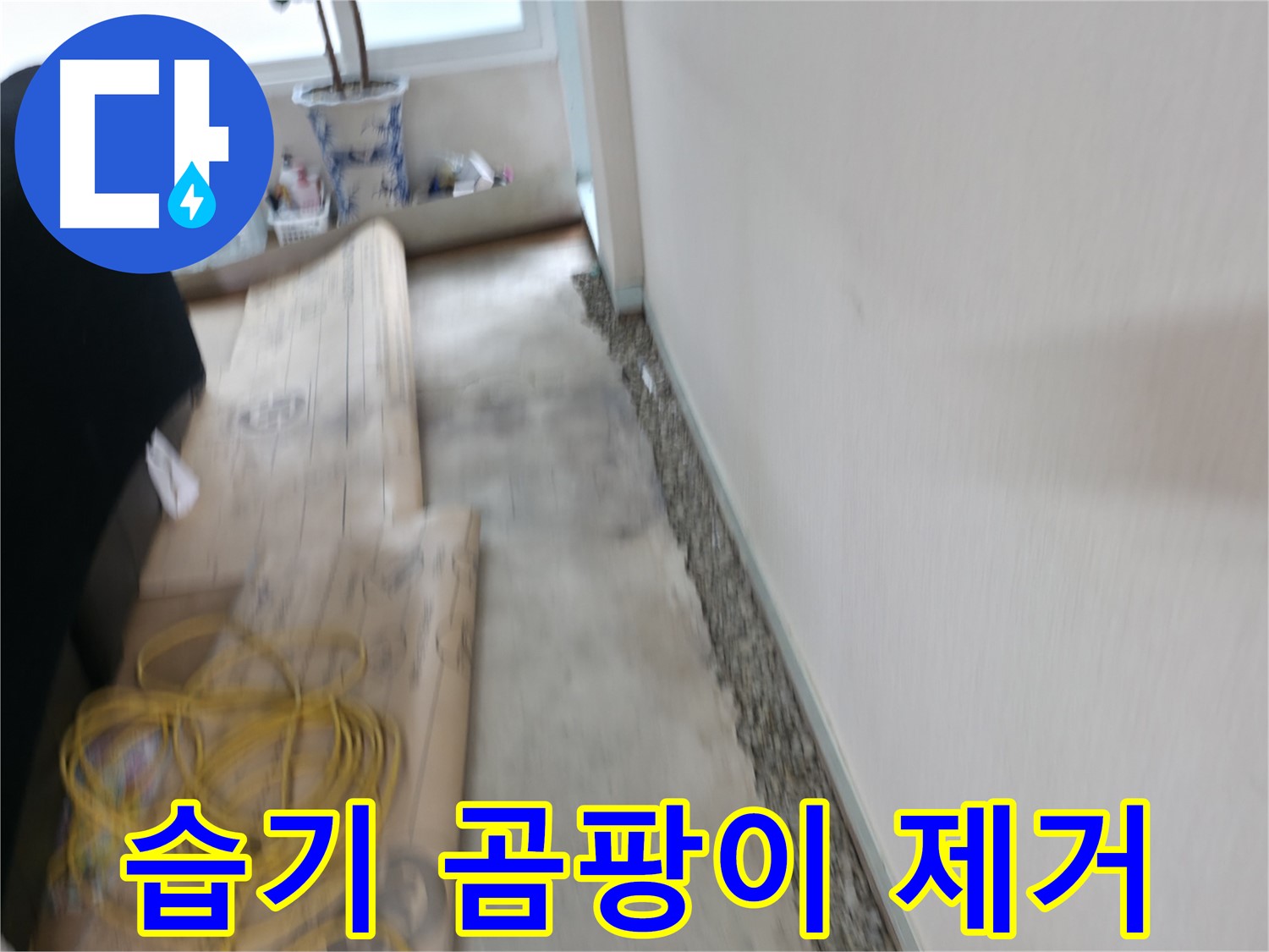 배관 주변 습기와 곰팡이를 제거하는 서초동 누수 작업 과정 이미지입니다.