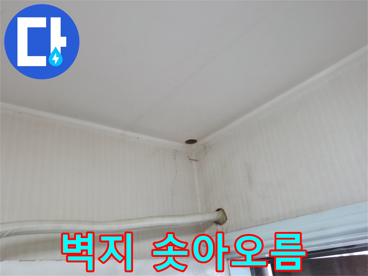 서초2동 명달로4길 벽지 솟아오름 - 숨겨진 누수 의심!