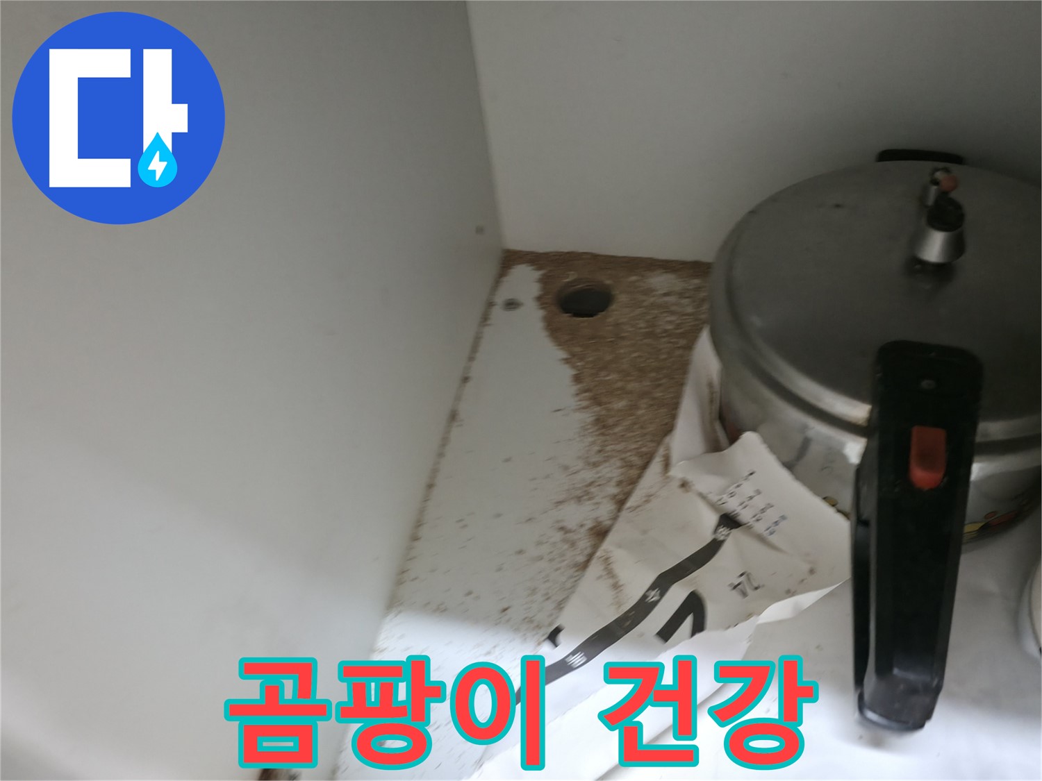 서초2동 싱크대 누수 - 곰팡이 포자 확산 및 건강 위협 점검